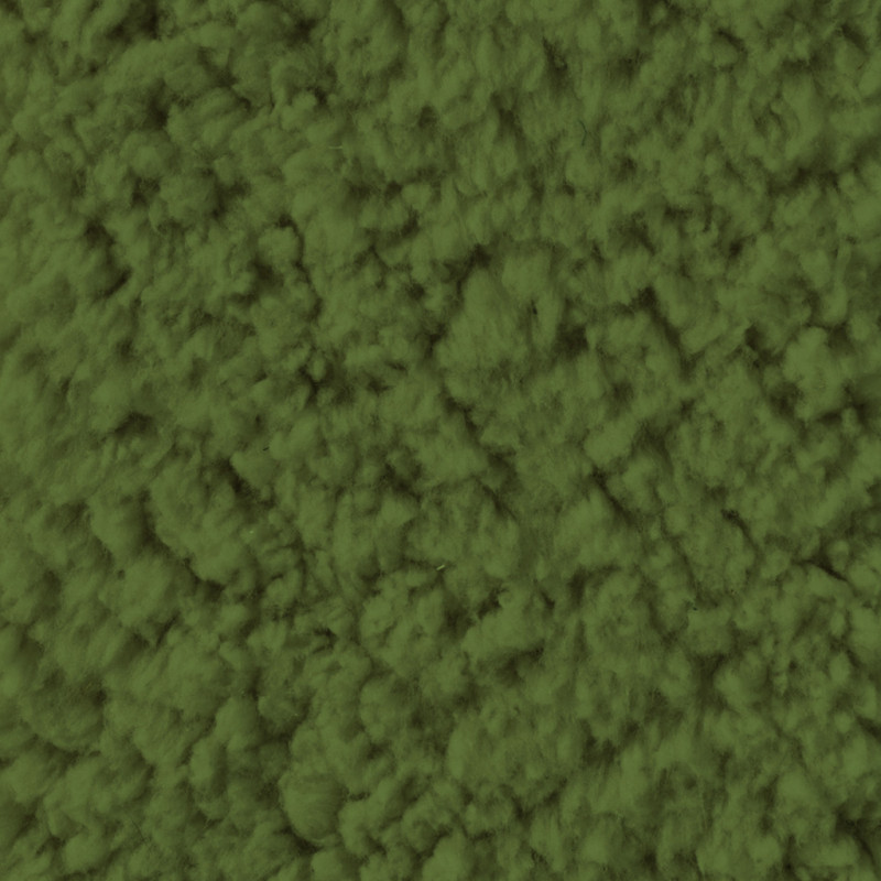 Sherpa Fern